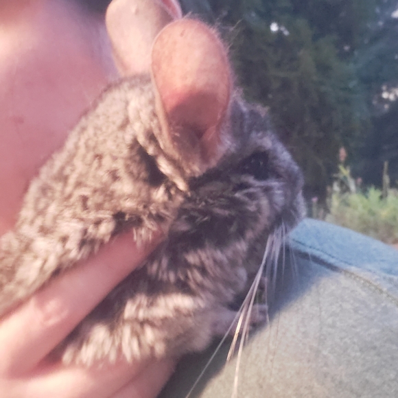 Meet your Posher, Katlyn - Picture 6 of 6